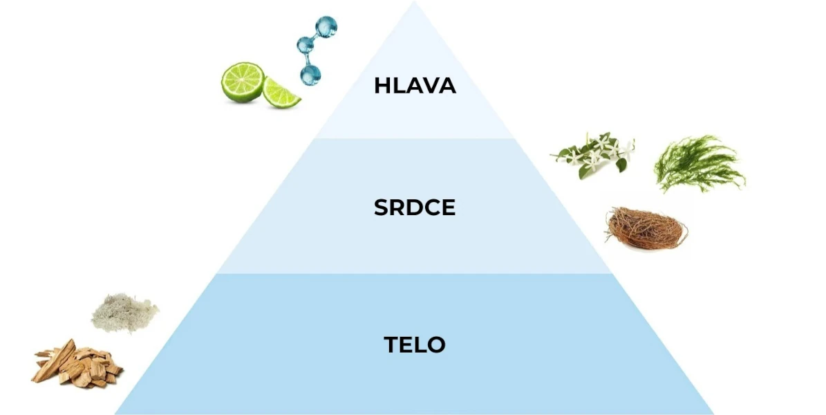Pyramída vôní parfumovaného spreju Brezza Marina